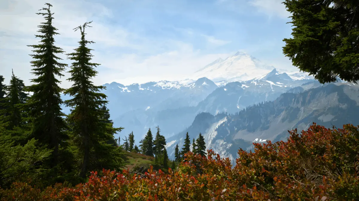 Top 5 Neighborhoods for Rental Investment in Vancouver, WA
