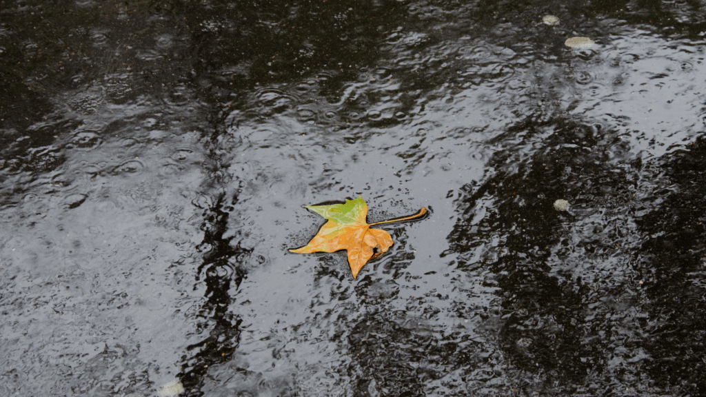How to Prepare Your Rental in Vancouver for the Rainy Season