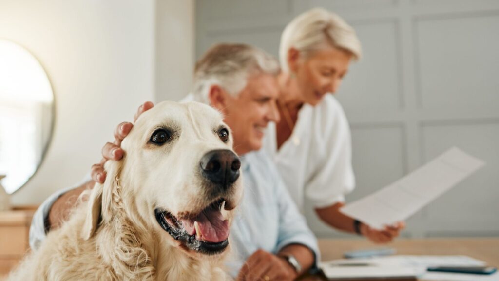 How to Create a Pet Policy That Protects Your Property